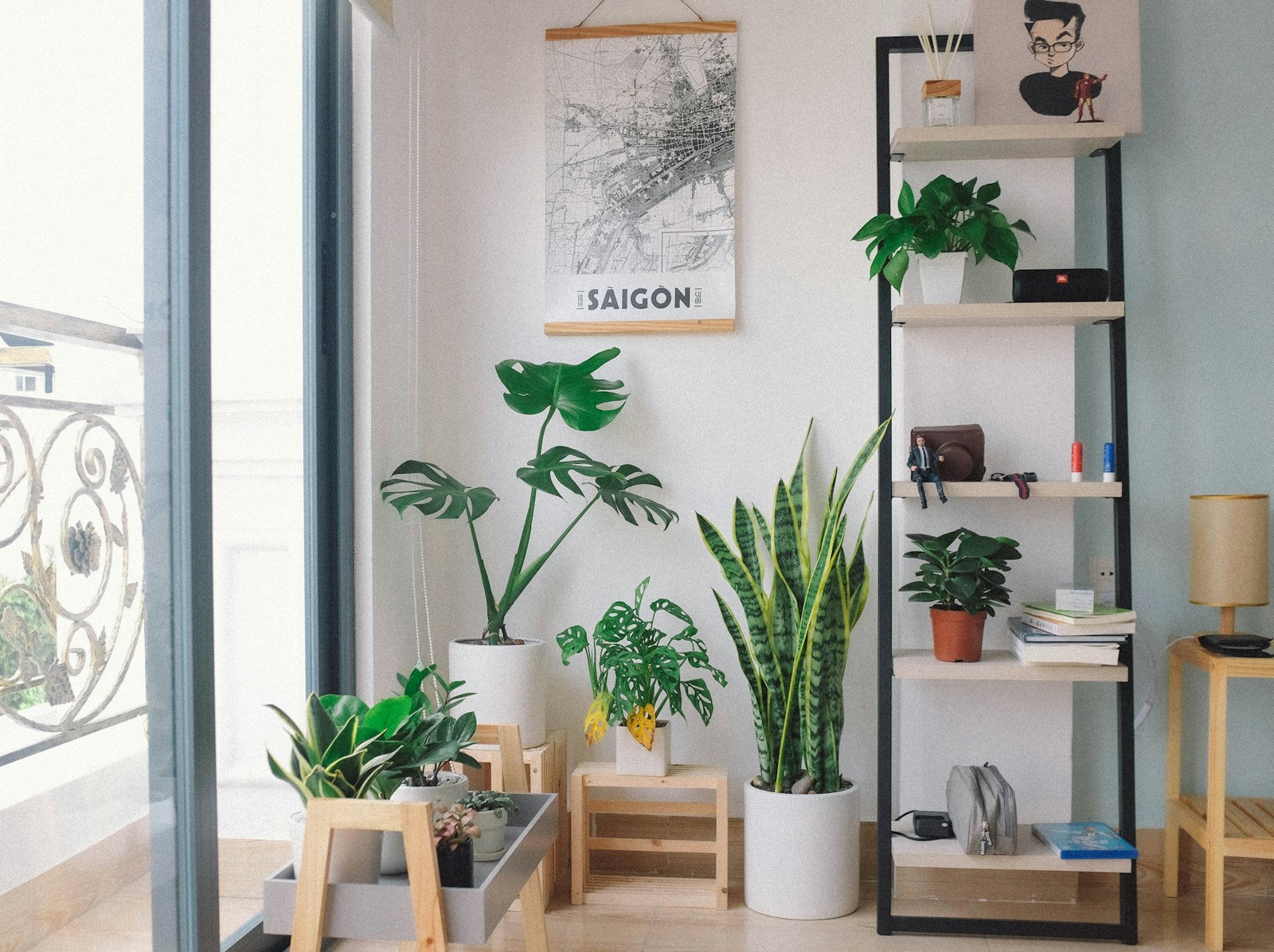 potted plants arranged between a glass window and a wall shelf in soft daylight